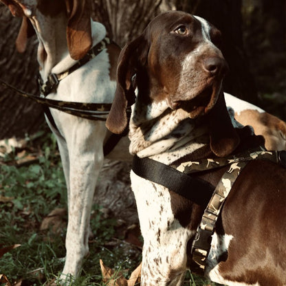 Pettorina norvegese “Full Metal Dog" - Morso