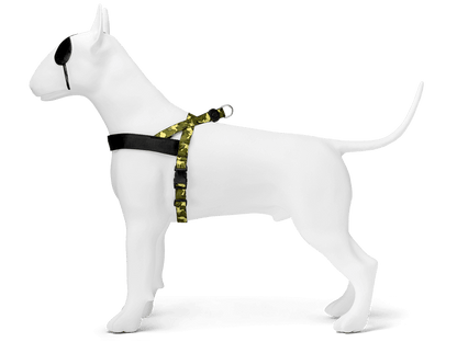 Pettorina norvegese “Full Metal Dog" - Morso