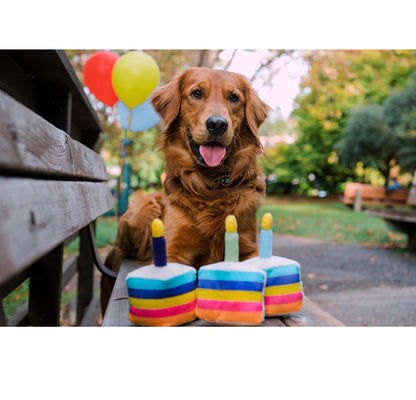Gioco “Torta Di Compleanno” - Pet Play