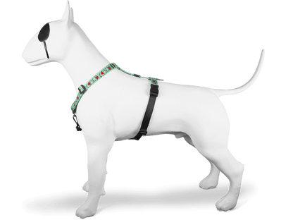 Pettorina ad H "Jolly Roger" - Morso